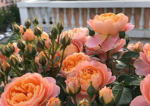 透气排水的重要性