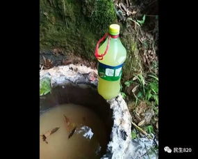 井水稀释农药：绿色还是凶险？