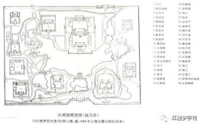 形态与分布：树木的“画像”