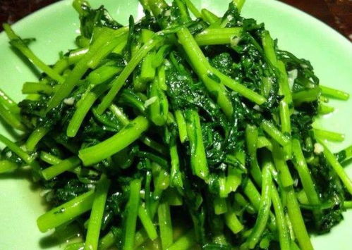 7. 普通人家种植木耳菜