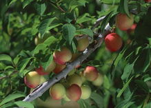 三、保存方法不对=白干