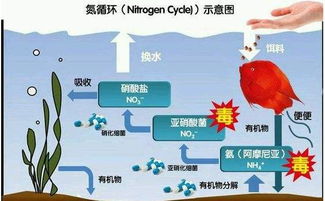 注意：使用杀菌剂要谨慎