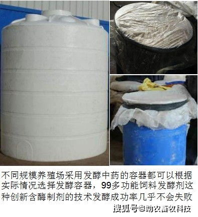 预混料真的可以发酵吗？新手如何避免发酵失败？