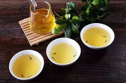 阿里山茶有哪些主要类型和品质特点