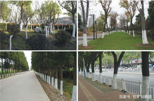 马路上的小秘密：标线的颜色大揭秘