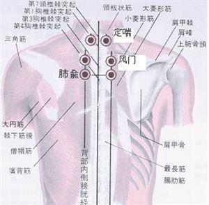 人参（T