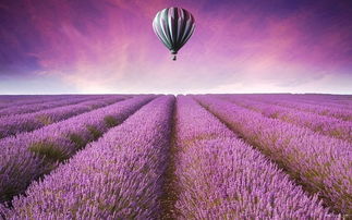 挽回损失，三招救命