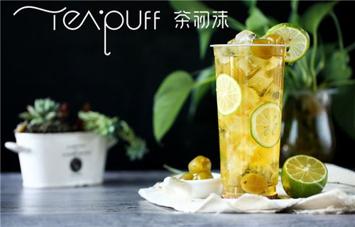 自由兄弟茶油茶饭：揭秘优质茶叶项目的潜力与优势