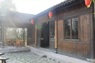 阳光猪舍，四季如春