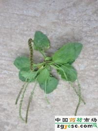 市场新套路与价格波动