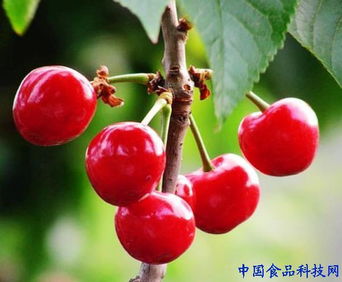 网上方法靠谱吗？告诉你一个秘密