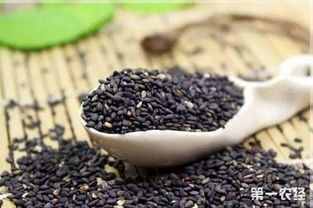 黑豆在什么季节种植最佳？如何掌握黑豆种植技术和管理要点