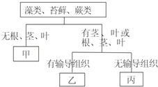 苔藓、蕨类、藻类植物都属于什么植物