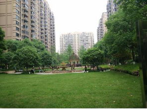 温度条件大揭秘