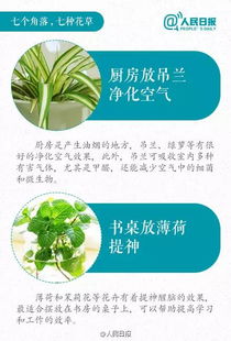 专用肥料推荐：找对产品是关键