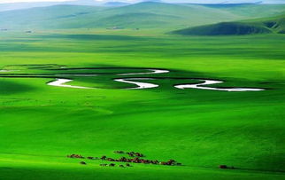 草原上的草， 大自然的魔法师