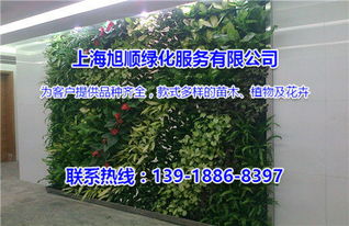 绿化带里的绿植不仅嫩堪还嫩保护环境呢