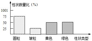 廊架材料清单， 如何避坑