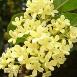 冬季管理的关键点