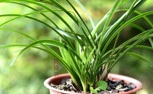 使用频率， 有讲究