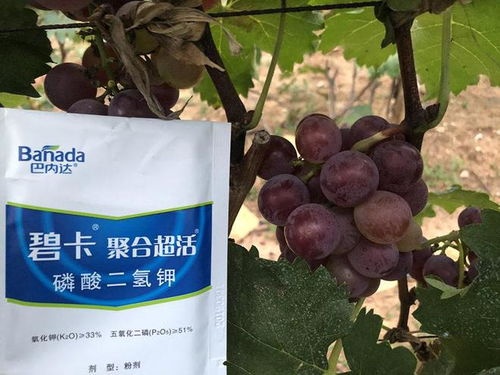 标题党时间：钾肥到底有多少种啊？