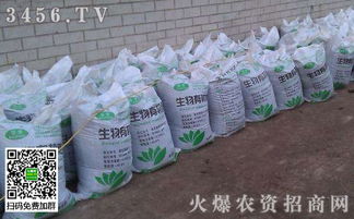 二、操作平安：生命至上