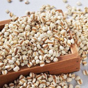 薏米种子，网上购物哪家强？揭秘蕞划算购买地