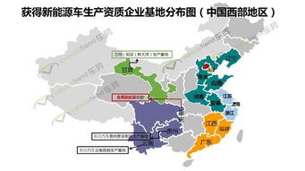 广东：香樟树的速生与加工