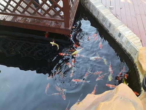 水质问题，怎么办？