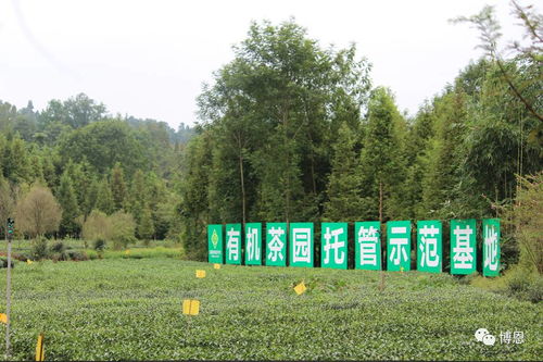 那农药厂， 真是个大怪物