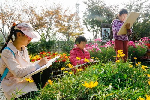 陈伯的种植心得