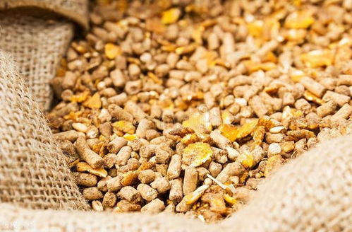 “母猪专用饲料：玉米、豆粕、麦麸、矿物质、维生素