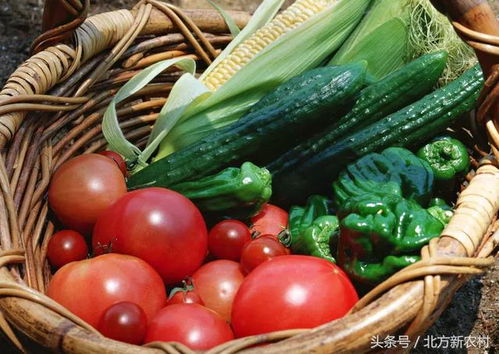 香葱：香气四溢的小精灵