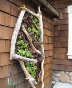 植物立体造型技巧解析