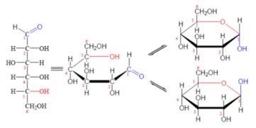 四唑环的神秘面纱：氮原子如何演绎化学舞台