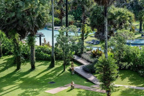 专业级四步法：核心时间把握住