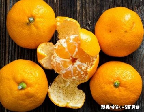 冷知识：叶背阳光浇水技巧