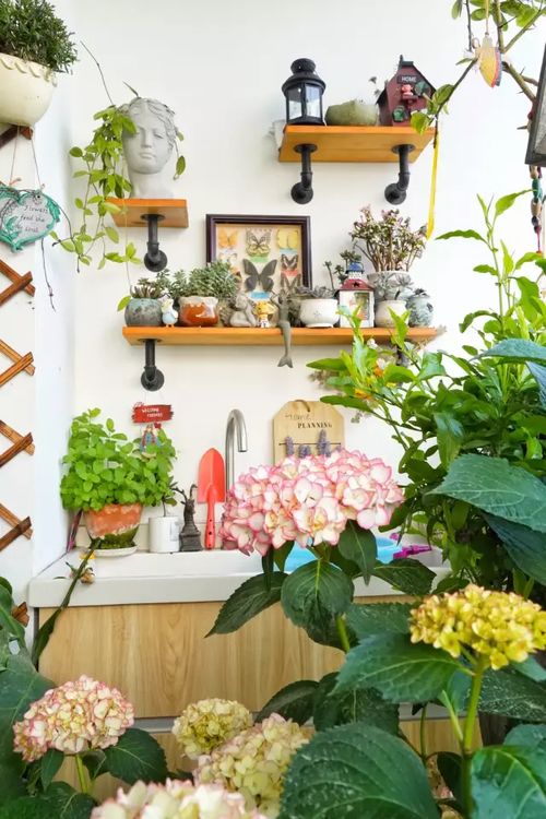 10大一开花就成瀑布的爬藤植物