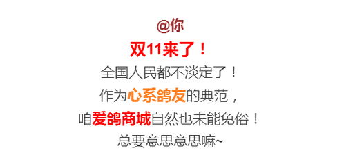 双11，爱意加倍