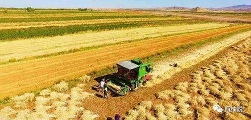 种植技巧要跟上