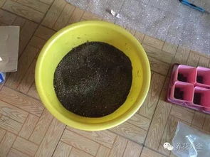 使用多菌灵的注意事项