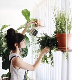 卧室，那可不行！