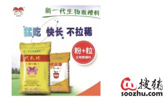 为什么全价猪饲料价格连续两个月上涨，这份避坑指南能帮我们省下多少成本？