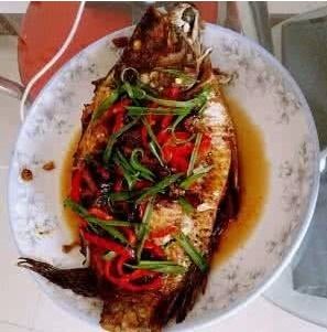 福寿鱼适宜吃什么类型的饲料？
