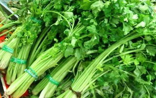 酸碱度，不Neng太酸也不Neng太碱