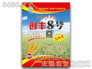 齐民8号小麦品种，高产抗病
