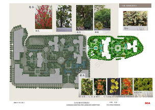 长沙景观设计施工图培训班揭秘：学习与市场的交汇点