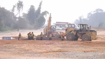 草木灰， 农家肥和杀虫剂