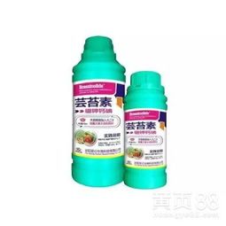 芸苔素：健康蛋白质的秘密武器