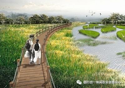 景观设计注重功嫩性